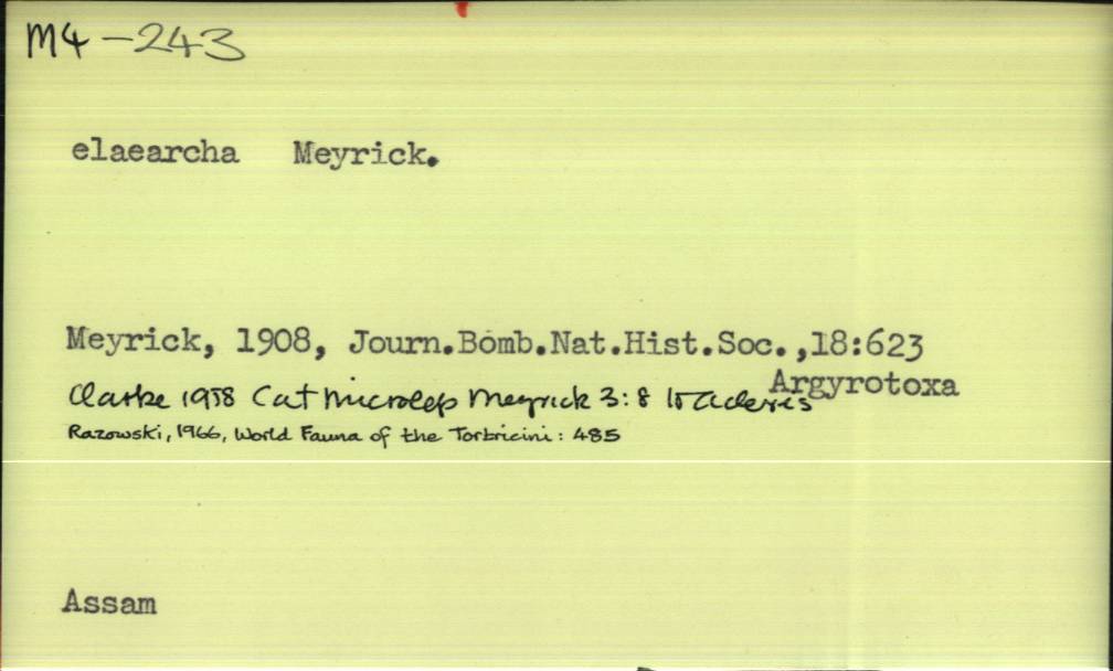 front of card